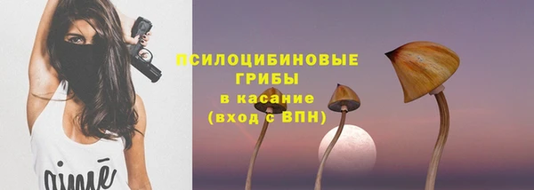 мет Арсеньев