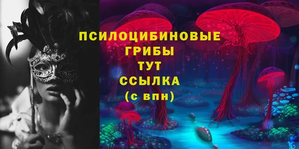 мет Арсеньев