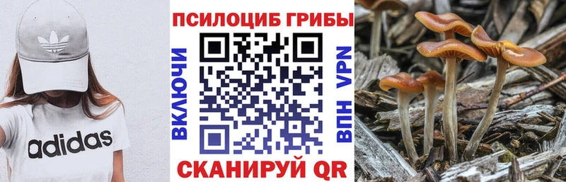 Галлюциногенные грибы ЛСД  Миньяр 